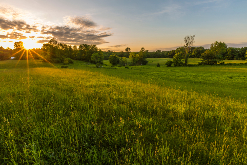 A hayfield at sunset in Epping, NH